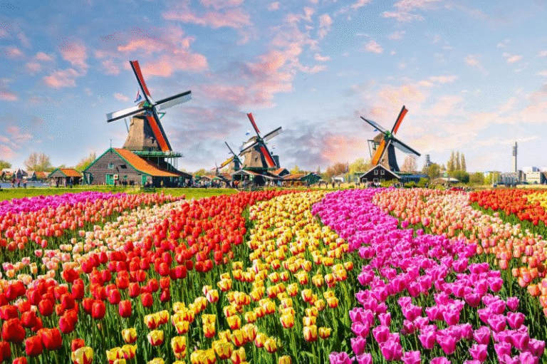 NetherLand